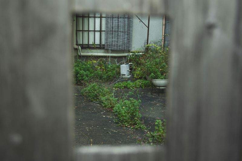 Die besten Reiseziele für 2024: Entdecken Sie verborgene Schätze